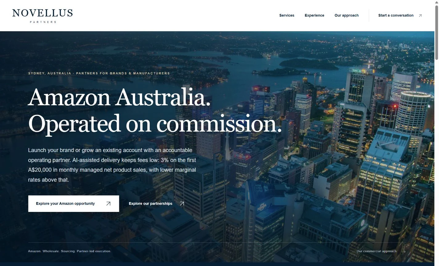 Novellus Partners: Visual identity · Website · Digital design